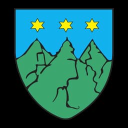 Herb: Torzym
