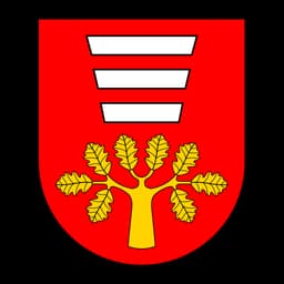 Herb: Gmina Hańsk