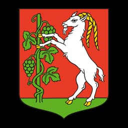 Herb: Lublin