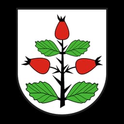 Herb: Gmina Rzgów