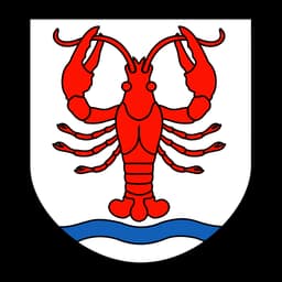 Herb: Gmina Wohyń