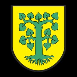 Herb: Borne Sulinowo