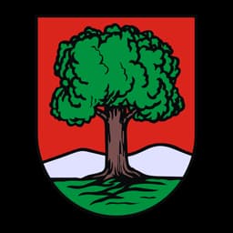 Herb: Wałbrzych