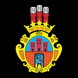 Herb: Radomsko