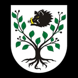 Herb: Gmina Kruszyna
