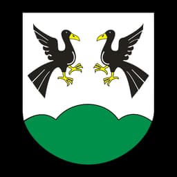 Herb: Gmina Łęczyca