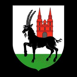 Herb: Wieruszów