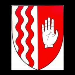 Herb: Gmina Brodnica