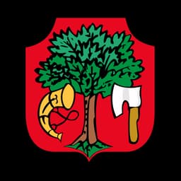 Herb: Limanowa