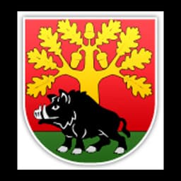 Herb: Gmina Stężyca