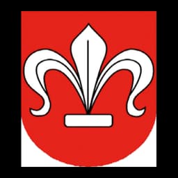 Herb: Gmina Radzanów
