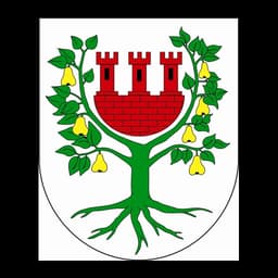 Herb: Międzychód