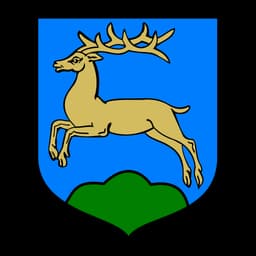 Herb: Gmina Wąsosz