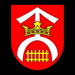 Herb: Kikół