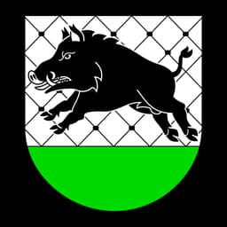 Herb: Debrzno