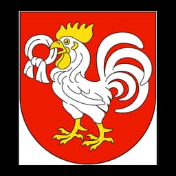 Herb: Kurów