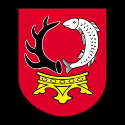 Herb: Gmina Czernikowo