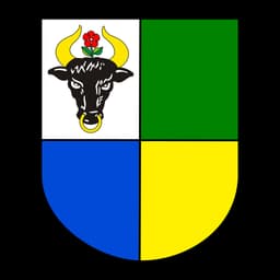 Herb: Gmina Chojnice