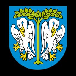 Herb: Łowicz