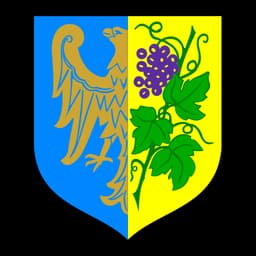 Herb: Strzelce Opolskie