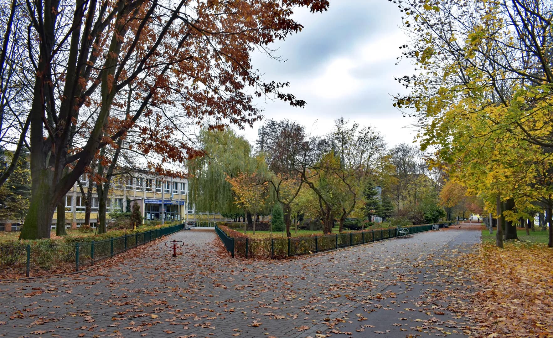 Otoczenie i budynek Szkoły Podstawowej nr 91 w Krakowie jesienią