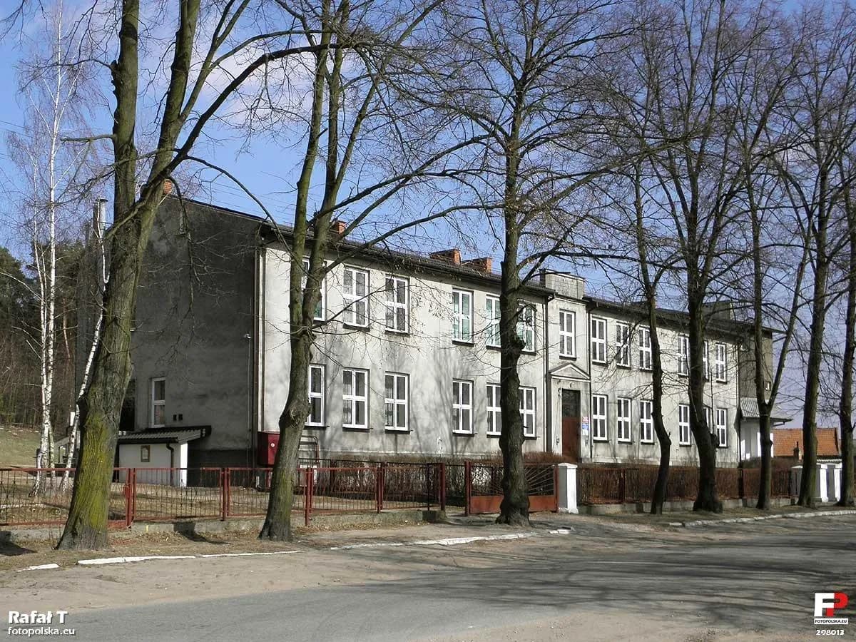 Budynek Publicznej Szkoły Podstawowej w Borowem widoczny zza drzew