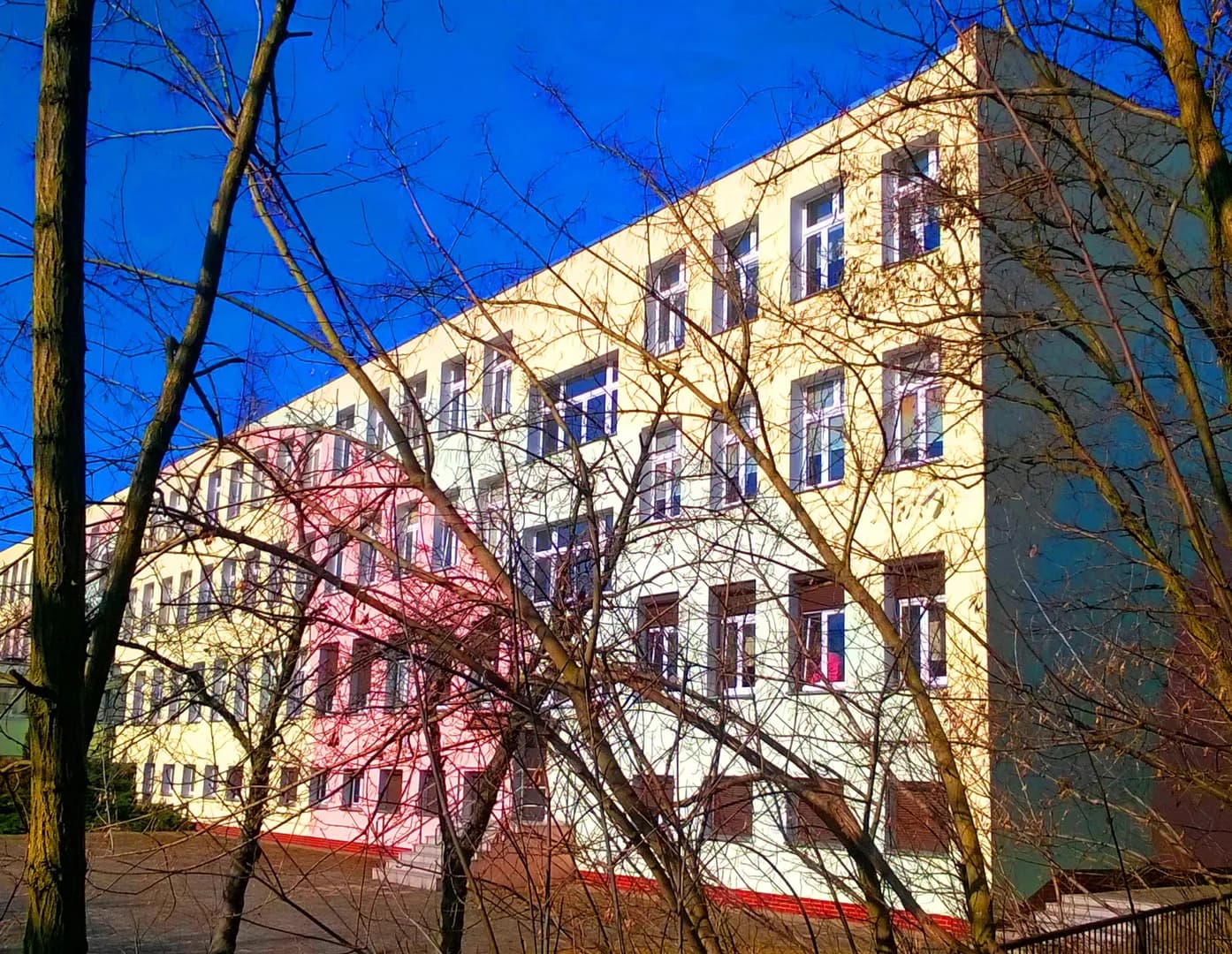 Elewacja budynku Zespołu Szkół Ekonomicznych w Toruniu widziana spoza drzew