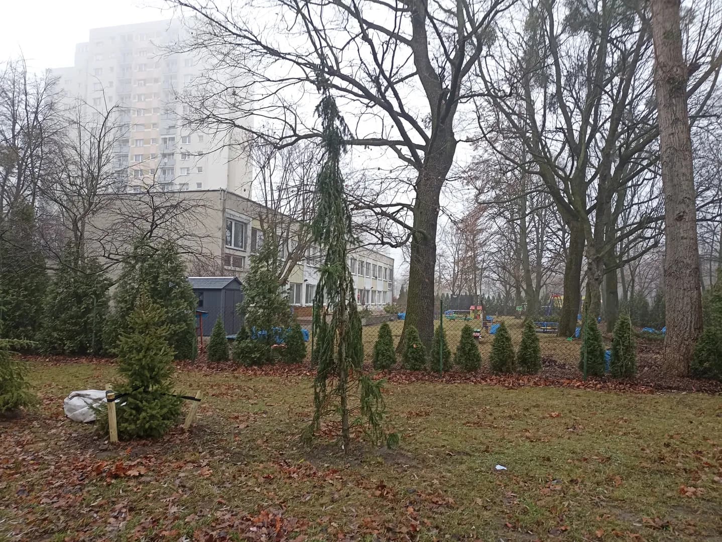 Ogród i budynek Przedszkola Specjalnego Bartek w Poznaniu zimą
